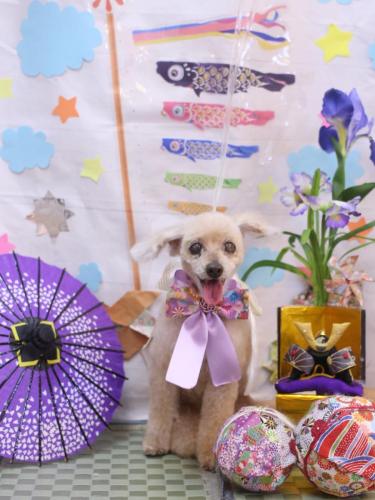 20240512桃果ちゃん